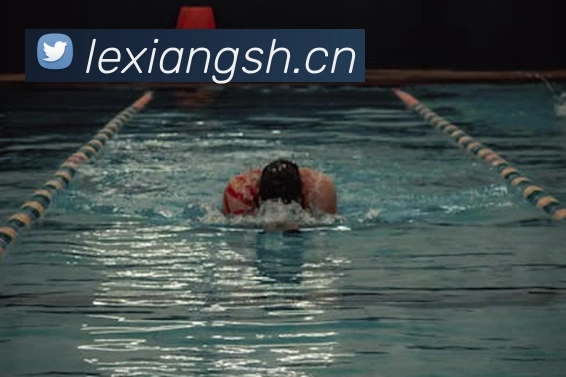 华体在线登录入口品牌故事