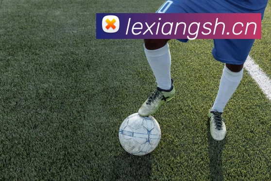 华体在线登录入口服务体系